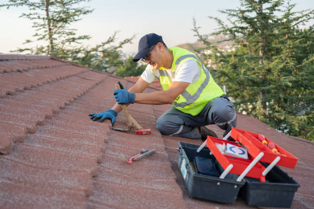 Best Roof Replacement Cost  in Mchenry, IL
